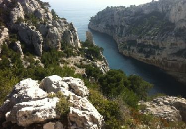 Randonnée Marche Marseille - gorgues longues-port miou-port pin-en vau-vallon des rampes-petelins - Photo