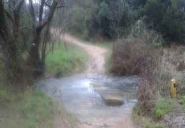 Trail Walking Villetelle - Villetelle - Vendargues - Photo