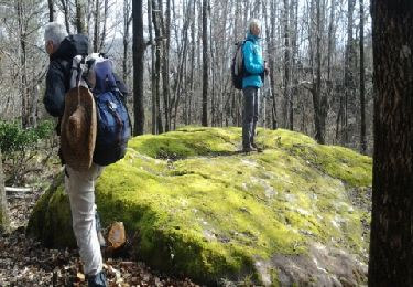Trail Walking Joncels - Joncels - Le Bousquet d'Orb - Photo