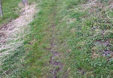 Trail Walking Blegny - mortier - Photo