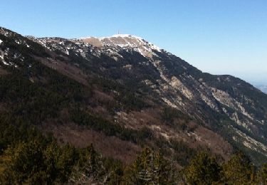 Tocht Stappen Sault - Épaulement de la Frache par la baraque d Aurel - Photo