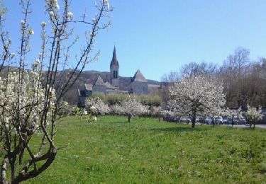 Trail Walking Castres - Castres  - Dourgne - Photo