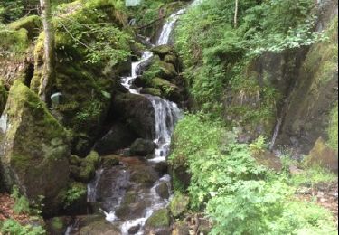 Tocht Stappen Le Hohwald - petit tour au hohwald route, cascade et chemin forestier - Photo