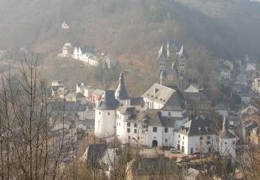 Tour Wandern Clerf - Boucle Les paysages cachés - Tronçon 4 - Clervaux - Kautenbach - Photo
