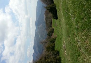 Excursión Otra actividad Saint-Laurent-en-Royans - les gueulards - Photo