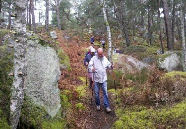 Trail Walking Fontainebleau - 130412 - Photo