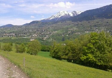 Tocht Mountainbike Grenoble - Les 4 seigneurs, herbeys, le murier - Photo