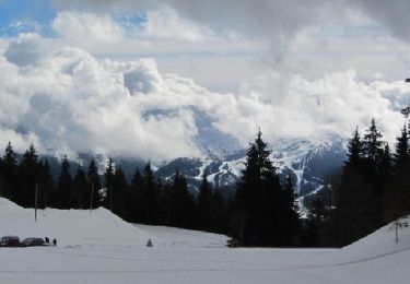 Tour Schneeschuhwandern Autrans-Méaudre en Vercors - Le Gros Martel - Méaudre - Photo