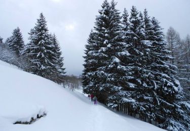 Tour Schneeschuhwandern Büssing - La petite boucle de Sainte Barbe - Bussang - Photo