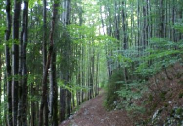 Trail Walking Bois-d'Amont - La Roche du Creux - Bois d'Amont - Photo