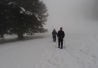 Tocht Sneeuwschoenen Sondernach - Traversée des Vosges en raquettes - Étape 3 - de Rhotenbrunnen à Soultzeren - Photo