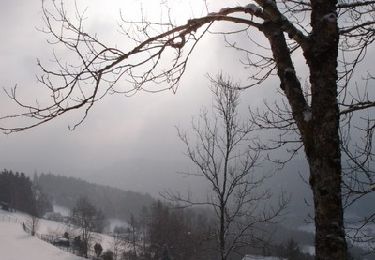 Tocht Sneeuwschoenen Plainfaing - Traversée des Vosges en raquettes - Étape 6 - de Plainfaing à Québrux - Photo