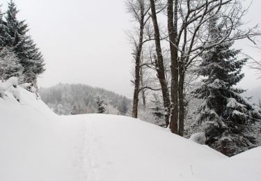 Tocht Sneeuwschoenen Ban-de-Laveline - Traversée des Vosges en raquettes - Étape 7 - de Québrux à Sainte Marie aux Mines - Photo