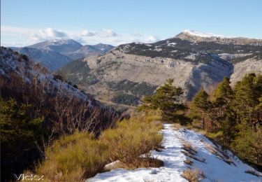 Excursión Senderismo Saint-Vallier-de-Thiey - La Montagne de Thiey par la forêt de Nans - Photo
