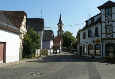 Tocht Fiets Ernolsheim-Bruche - Circuit cyclo des villages de plaine - Ernolsheim-Bruche - Photo