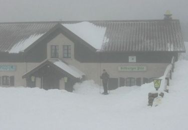 Randonnée Raquettes à neige Ventron - Du Col d'Oderen au Grand Ventron - Ventron - Photo