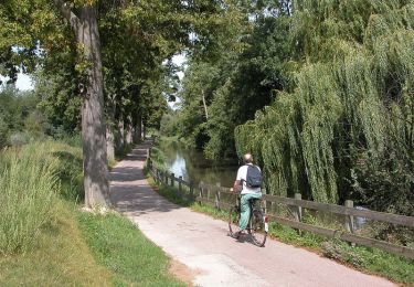 Trail Walking Molsheim - Les chapelles entre vignoble et canal - Avolsheim - Photo