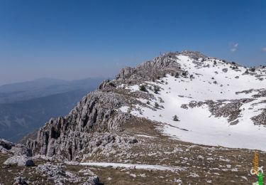 Tour Wandern Gréolières - Traversée de la Montagne du Cheiron 1778m, depuis les Hautes Gréolières - Photo