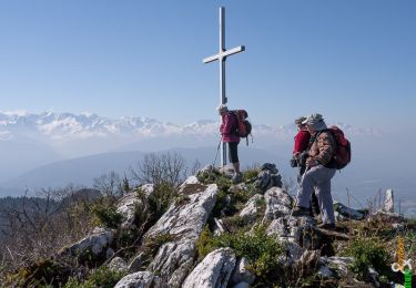 Excursión Senderismo Curienne - La Croix de Chignin 1238 m, depuis Montgelas - Photo