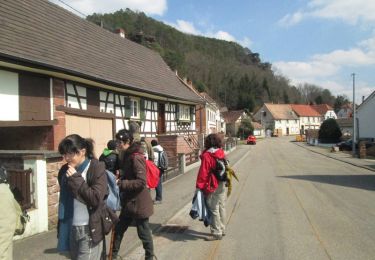 Trail Walking Obersteinbach - Wasigenstein Obersteinbach - Photo
