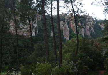 Randonnée V.T.T. Puget-sur-Argens - Forêt de la Colle du Rouet aux Gorges de Blavet - Fréjus - Photo