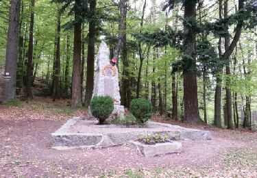 Excursión Bici de montaña Wintzenheim - croix de wihr - Photo