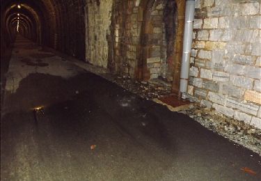 Randonnée Marche Courniou - tunnel de la fenille - Photo
