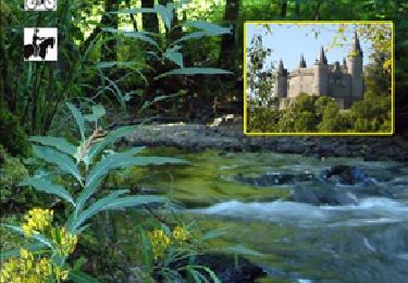 Tour Pferd Houyet - Nature & heritage : Castle of Vêves - Celles - Photo