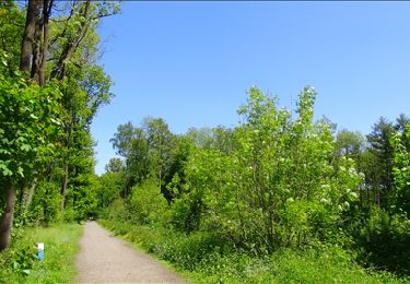 Tour Wandern Morlanwelz - Balade dans le Parc et le Bois de Mariemont - Photo