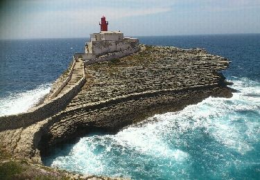 Excursión Senderismo Bonifacio - Bonifacio - Cala di Paraguano par le phare de la Madonetta - Photo