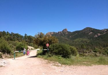 Percorso Marcia Saint-Raphaël - Esterel lac de l'Ecureuil.gpx - Photo