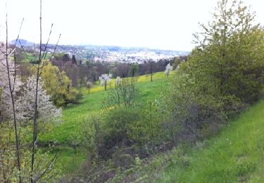 Tocht Stappen Brives-Charensac - brives chrensac - Photo