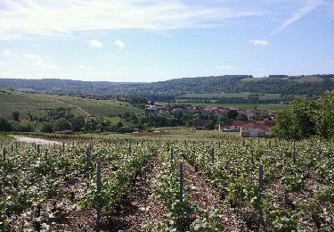 Tour Wandern Charly-sur-Marne - charly sur Marne - Photo