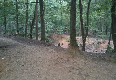 Excursión Bici de montaña Verrières-le-Buisson - verrière - Photo