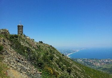 Tour Wandern Collioure - tour de Madeloc - Photo