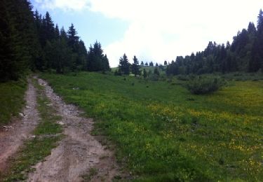 Tour Wandern Thônes - beauregard depuis la closette - Photo