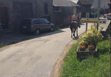 Trail Equestrian Bouillon - balade 2 frahan  - Photo