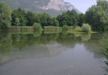 Trail Mountain bike Villard-Bonnot - coteaux chartreuse et plaines gresivaudan - Photo