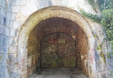 Tour Wandern Besançon - Fort de la dame blanche - Photo