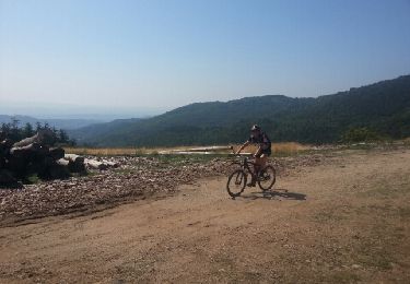 Trail Mountain bike Joannas - roubreau col des langoustines la boule rocles roubreau - Photo