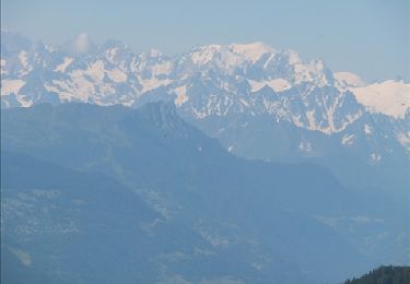 Tour Wandern Ayent - Anzère - Alpages - Bisse de sion 210713 - Photo