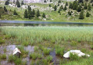 Tocht Stappen Seyne - Lacs noir et du milieu - Photo