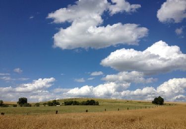 Tocht Andere activiteiten Villepreux - autour de chavenay  - Photo