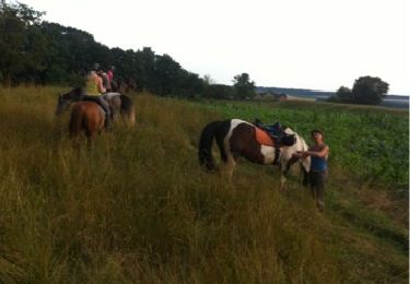 Trail Equestrian Walcourt - balade a cheval des 3 rivieres - Photo