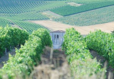 Randonnée Moteur Saint-Preuil - Découvrez la Grande Champagne hors des sentiers battus - Photo