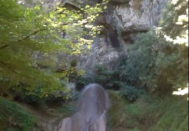 Trail Walking Valzin-en-Petite-Montagne - Dramelay-Quinquenouille - Photo