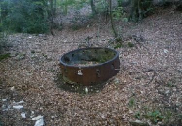 Tour Wandern Taulignan - fontaine de charroux par la chèvre - Photo