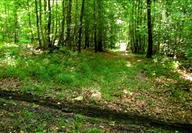 Tocht Stappen Longpont - en forêt de Retz_18_Longpont_etangs de la Ramee_AR - Photo