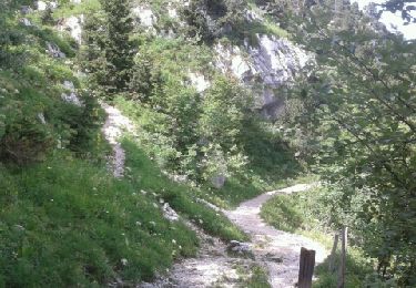 Tour Wandern Sainte-Marie-du-Mont - Le col de Belles Ombres - Photo