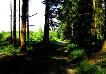 Tocht Stappen Longpont - en forêt de Retz_19_Longpont_carrefour de Vauvaudran_AR - Photo